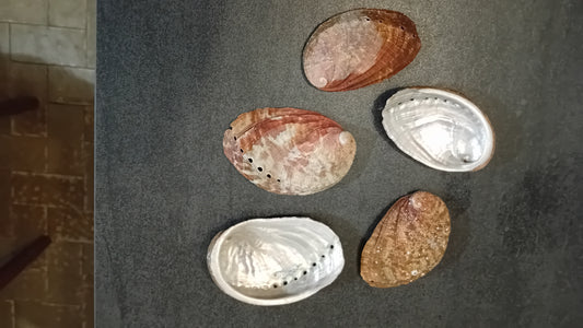 Brûle encens - Coquille d'ormeau naturelle