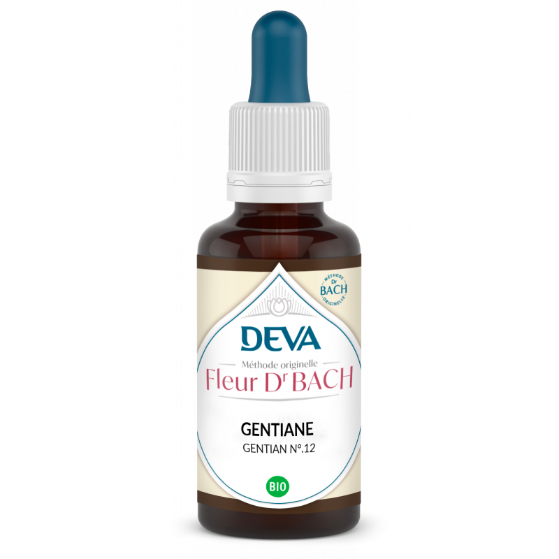 Gentiane - Gentian - Fleurs de Bach n°12 - Elixir Floral Deva