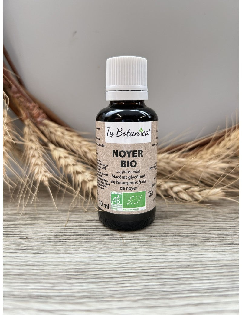 Macerat de bourgeon de Noyer