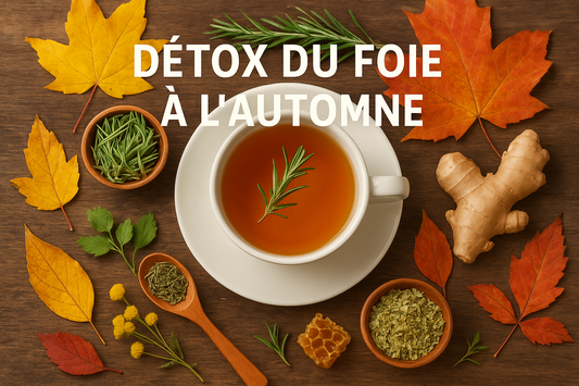Détox du foie à l’automne : pourquoi et comment purifier votre organisme avant l’hiver