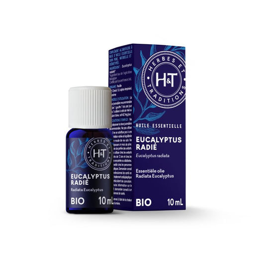 Eucalyptus Radiata bio - Huile Essentielle - Herbes et Traditions