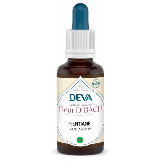 Gentiane - Gentian - Fleurs de Bach n°12 - Elixir Floral Deva