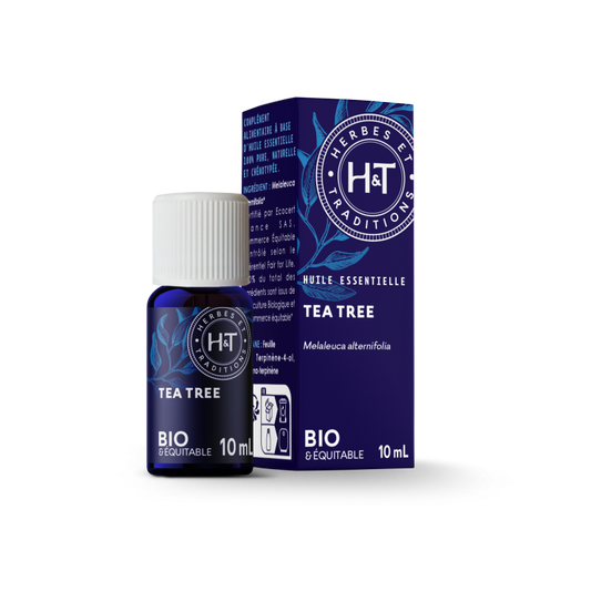 Tea Tree - Huile Essentielle Bio équitable - Herbes et Traditions