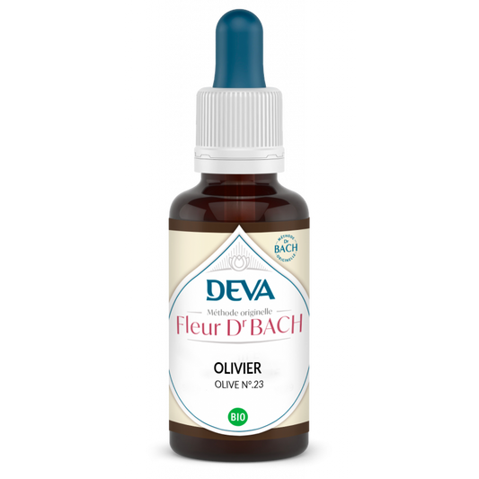 Olivier - Olive - Fleurs de Bach n°23 - Elixir Floral Deva
