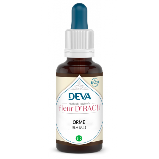 Orme - Elm - Fleurs de Bach n°11 - Elixir Floral Deva